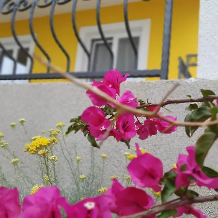 Casa de hóspedes Malena