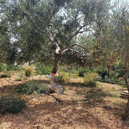 Malena Pensjonat Barbat na Rabu