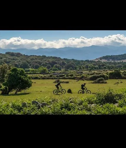 Malena Affittacamere