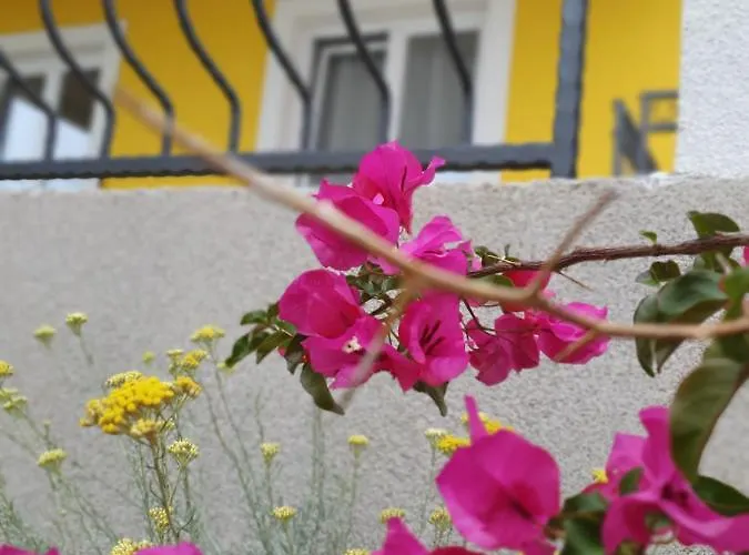 Affittacamere Malena